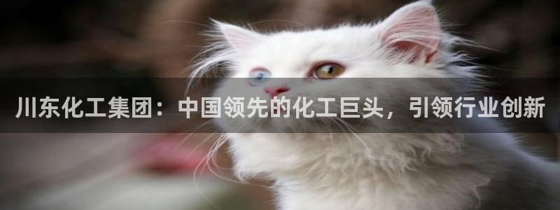 球盟会里面有打牌的嘛是真的吗：川东化工集团：中国领先的化工巨