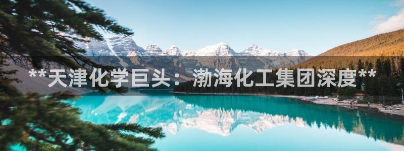球盟会和中欧合作吗：**天津化学巨头：渤海化工集团深度**