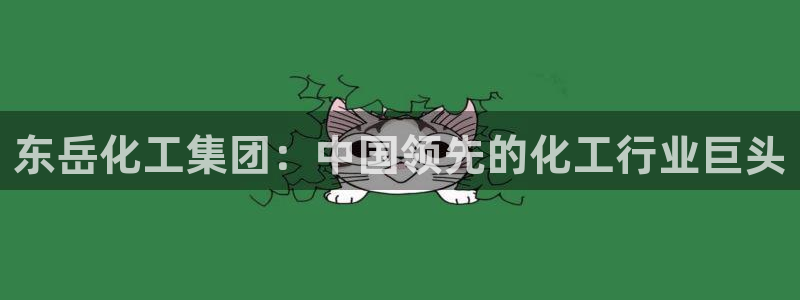 球盟会官方登录平台：东岳化工集团：中国领先的化工行业巨头