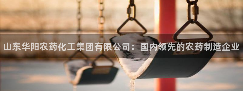 球盟会中国官方网站：山东华阳农药化工集团有限公司：国内领先的