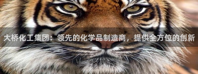 球盟会黑款吗：大桥化工集团：领先的化学品制造商，提供全方位的
