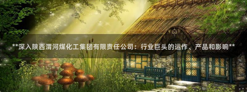 球盟会可靠不：**深入陕西渭河煤化工集团有限责任公司：行业巨