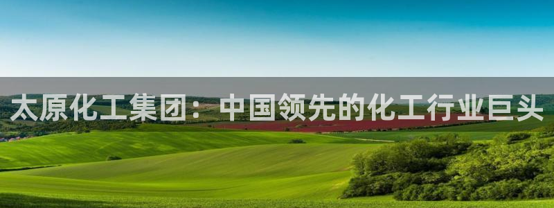 球盟会几点玩合适：太原化工集团：中国领先的化工行业巨头