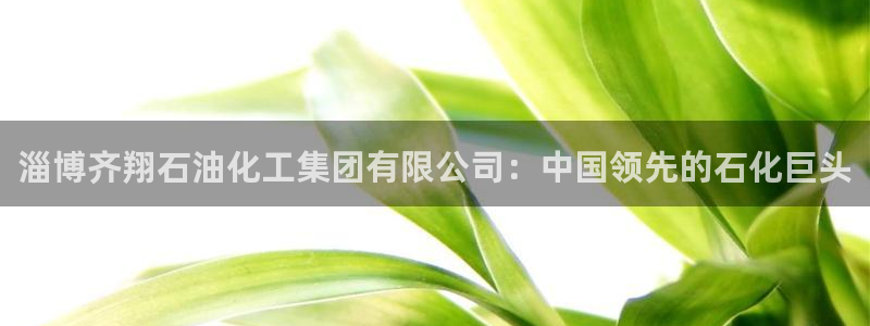 球盟会官方app首页入口：淄博齐翔石油化工集团有限公司：中国
