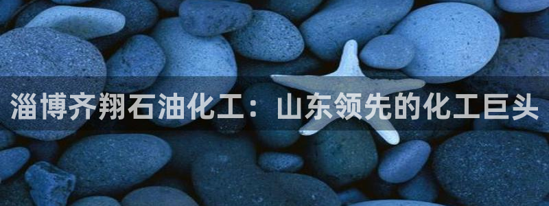 球盟会登陆：淄博齐翔石油化工：山东领先的化工巨头