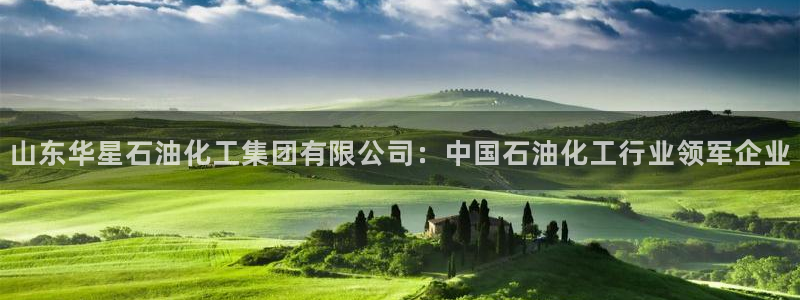 球盟会最新地址备用：山东华星石油化工集团有限公司：中国石油化