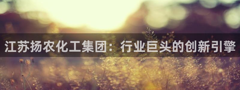 球盟会官方最新入口