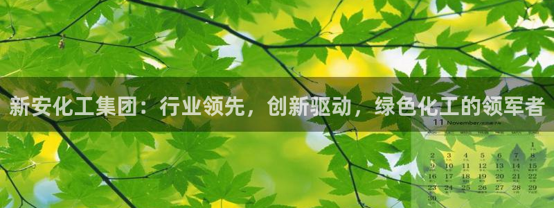 球盟会app网址多少号：新安化工集团：行业领先，创新驱动，绿