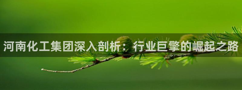 千亿球盟会乐玩