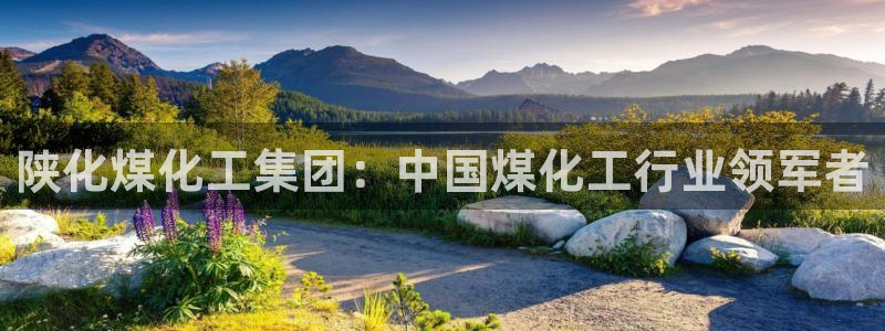 球盟会福利码2023最简单三个步骤：陕化煤化工集团：中国煤化