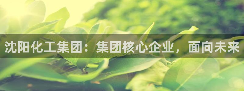 球盟会和中欧合作吗：沈阳化工集团：集团核心企业，面向未来