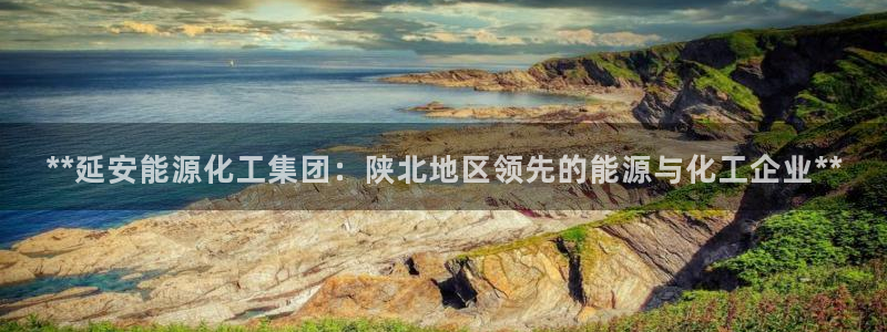 球盟会(中国)官方网站：**延安能源化工集团：陕北地区领先的