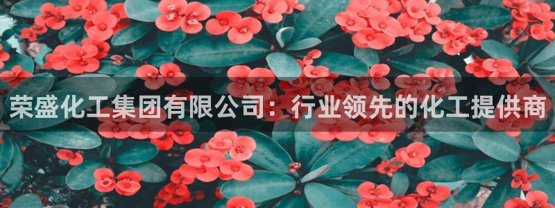 球盟会app最新地址在哪找
