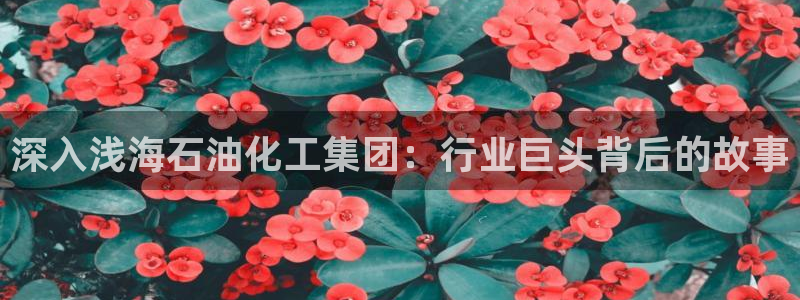球盟会最新活动
