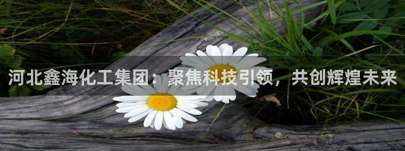 球盟会可以提现么现在：河北鑫海化工集团：聚焦科技引领，共创辉