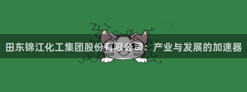 球盟会有没有黑单的活动：田东锦江化工集团股份有限公司：产业与