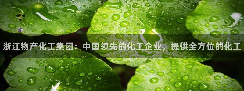 球盟会和中欧合作吗：浙江物产化工集团：中国领先的化工企业，提