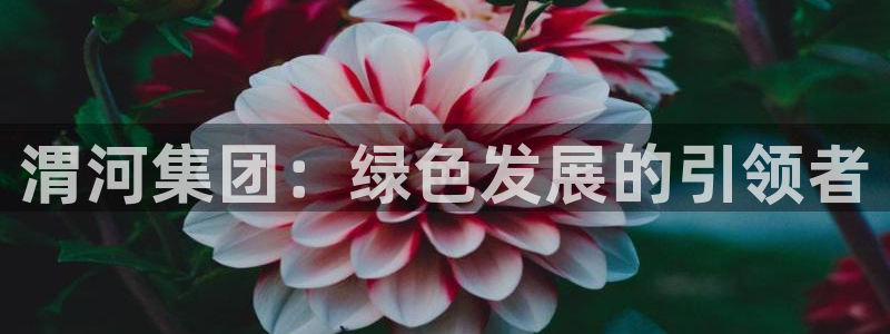 球盟会官方：渭河集团：绿色发展的引领者