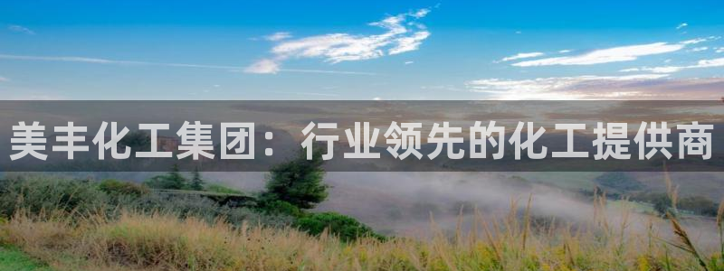 球盟会头号玩家：美丰化工集团：行业领先的化工提供商