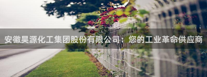 球盟会qmh网页版登录 - qm球盟会官方网站：安徽昊源化工