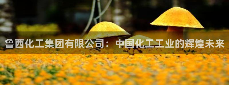 球盟会qmh电子网页版登录：鲁西化工集团有限公司：中国化工工
