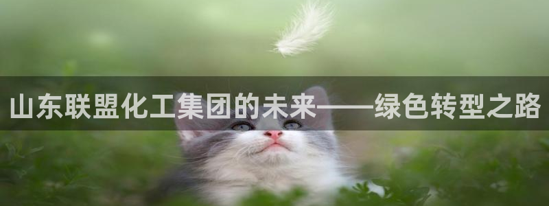 球盟会(中国)官方网站：山东联盟化工集团的未来——绿色转型之