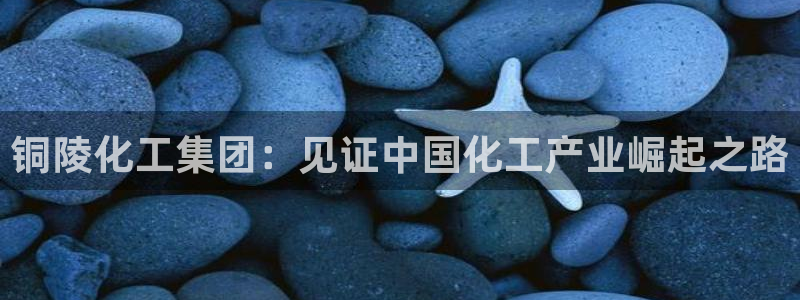 球盟会黑台子吗