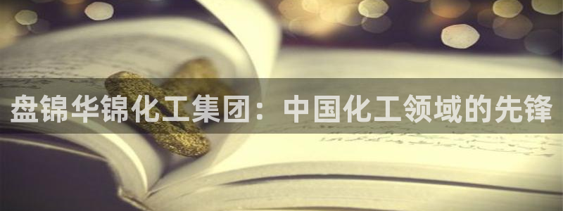 球盟会最新