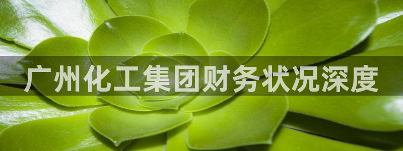 球盟会在线登入