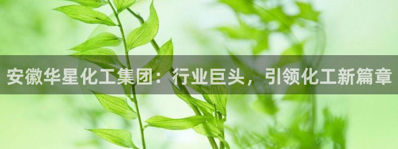 球盟会头号玩家