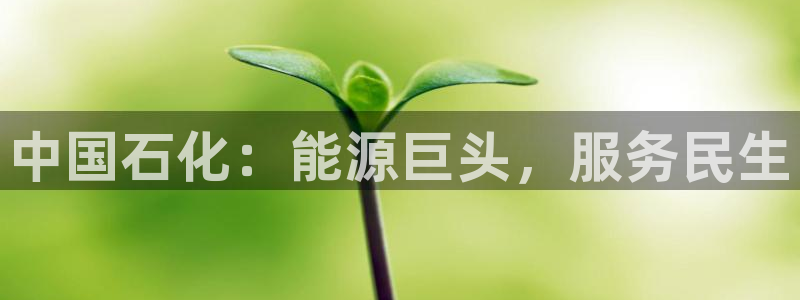 球盟会最新活动