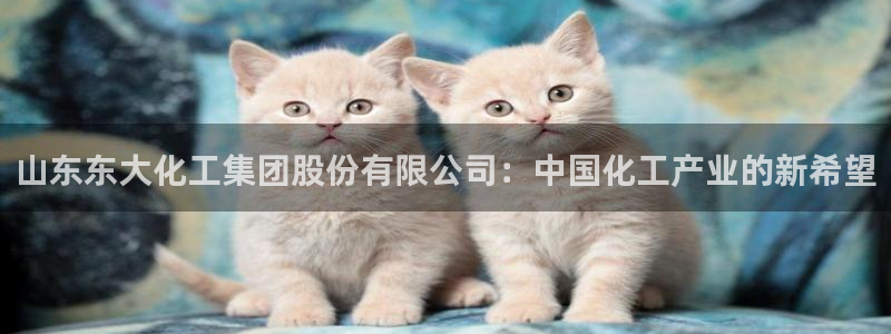 球盟会国际官网：山东东大化工集团股份有限公司：中国化工产业的