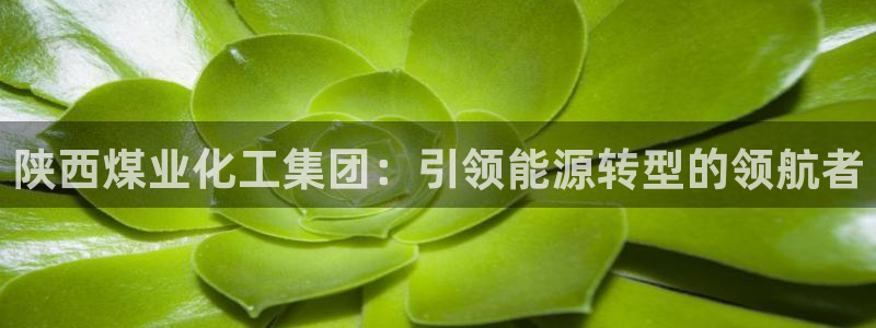 球盟会app安装：陕西煤业化工集团：引领能源转型的领航者