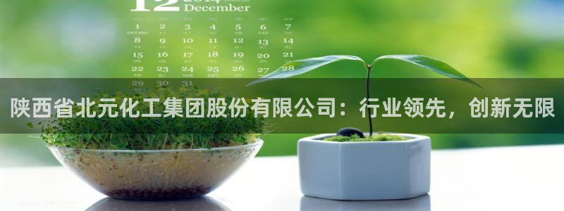 球盟会登录入口：陕西省北元化工集团股份有限公司：行业领先，创