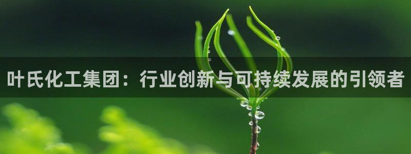 球盟会进不去球员吗：叶氏化工集团：行业创新与可持续发展的引领