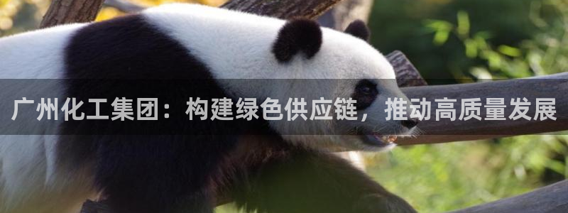 球盟会入口：广州化工集团：构建绿色供应链，推动高质量发展