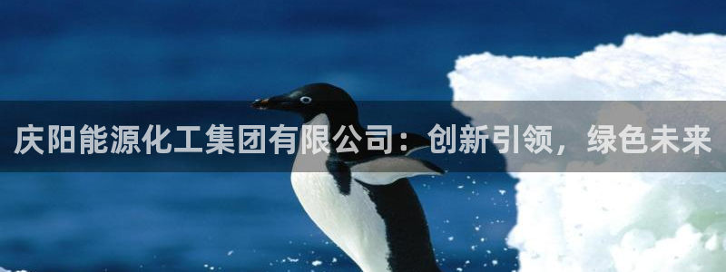 球盟会体验金球奖吗：庆阳能源化工集团有限公司：创新引领，绿色