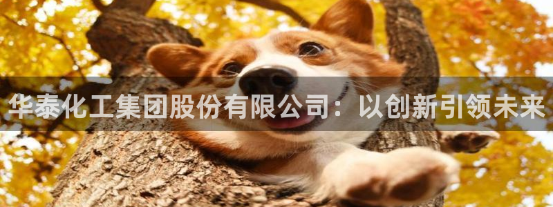 球盟会平台会黑单吗：华泰化工集团股份有限公司：以创新引领未来