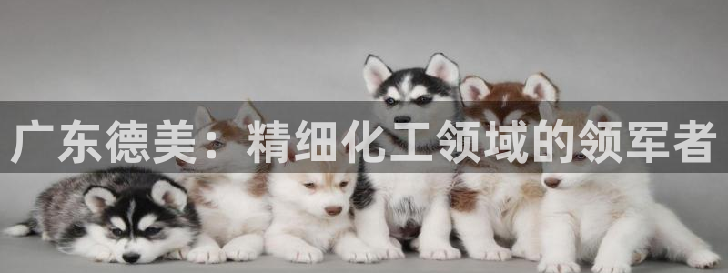 球盟会类似的网站：广东德美：精细化工领域的领军者
