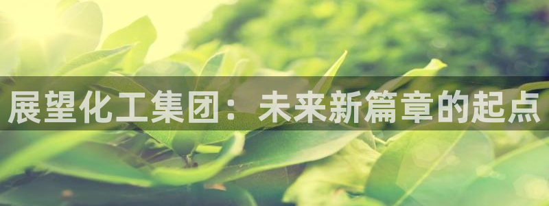 球盟会有没有黑单的活动：展望化工集团：未来新篇章的起点
