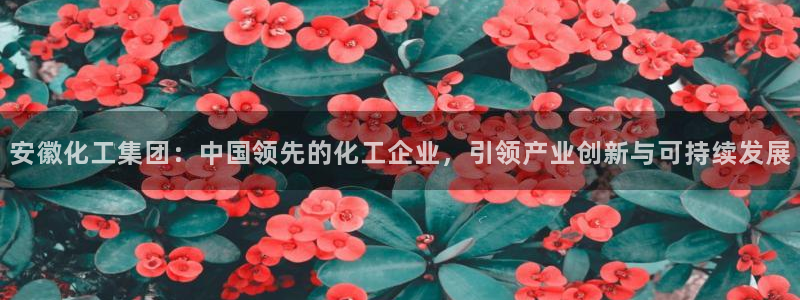 球盟会里面有打牌的嘛知乎：安徽化工集团：中国领先的化工企业，