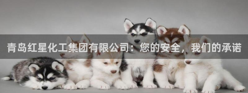 球盟会登陆入口：青岛红星化工集团有限公司：您的安全，我们的承