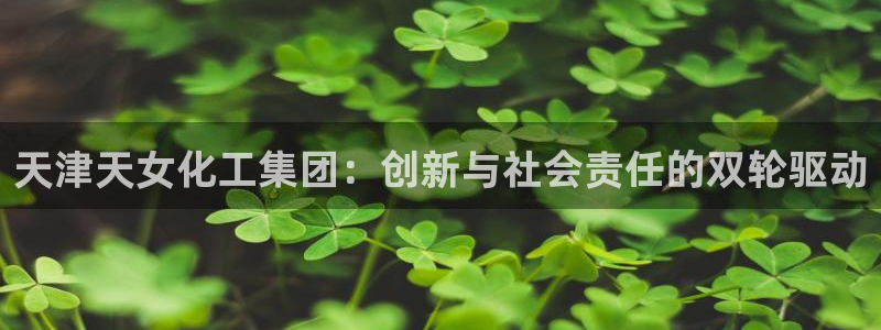 球盟会黑款吗还是白款：天津天女化工集团：创新与社会责任的双轮