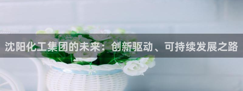 球盟会优惠码：沈阳化工集团的未来：创新驱动、可持续发展之路