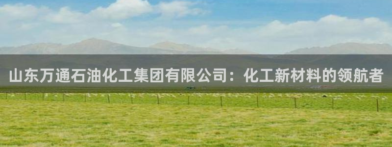 球盟会用的客服聊天是哪个软件：山东万通石油化工集团有限公司：