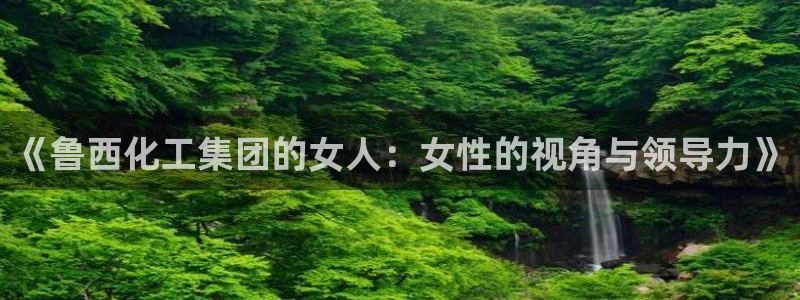 球盟会和中欧会的区别：《鲁西化工集团的女人：女性的视角与领导
