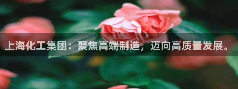 球盟会app安装：上海化工集团：聚焦高端制造，迈向高质量发展
