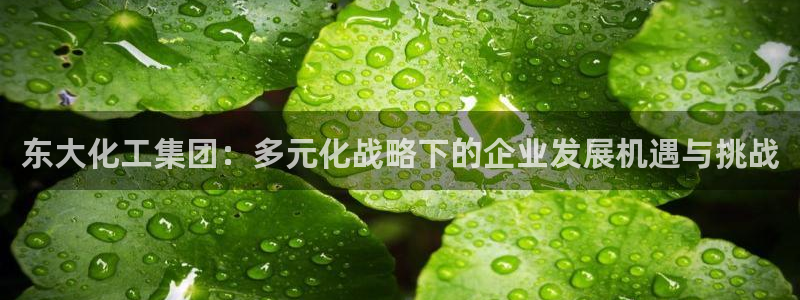 球盟会qmh：东大化工集团：多元化战略下的企业发展机遇与挑战