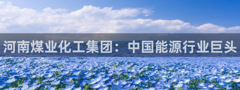 球盟会吧：河南煤业化工集团：中国能源行业巨头
