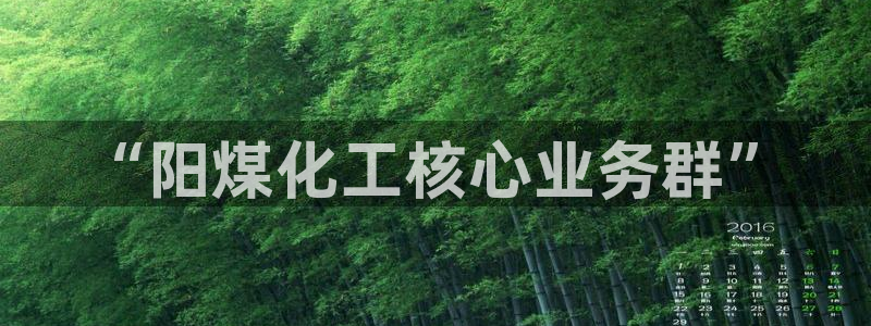 球盟会黑：“阳煤化工核心业务群”